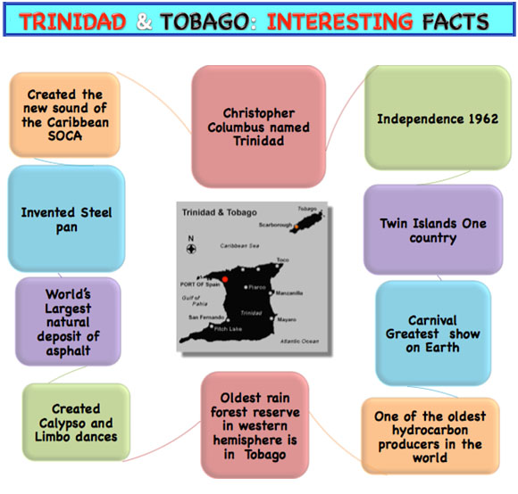 tnt-facts